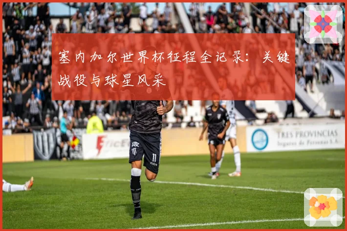 塞内加尔世界杯征程全记录:关键战役与球星风采