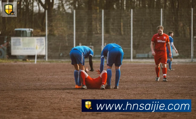 乐鱼网页版在线登录发展历程