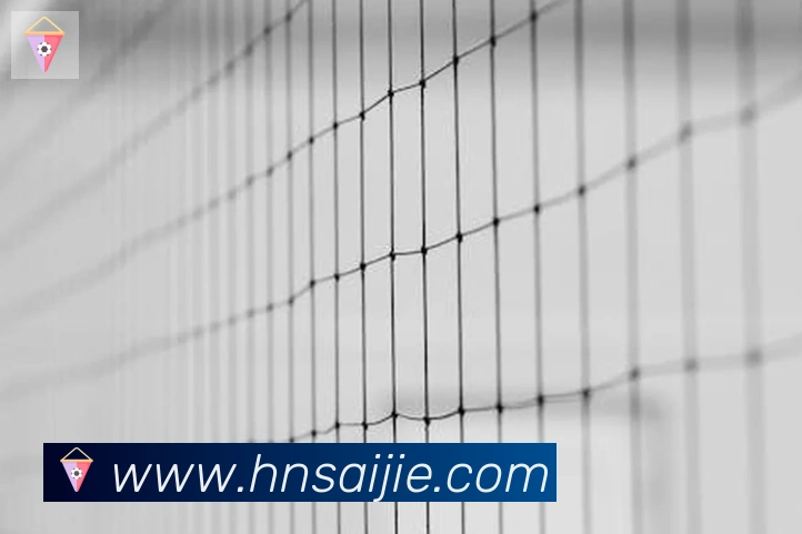 App Interface Preview